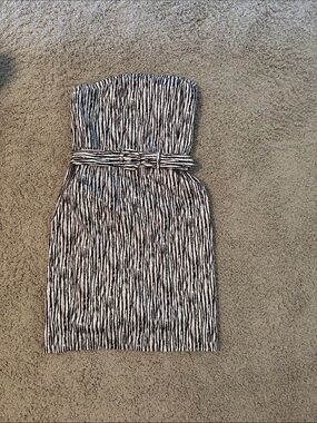 Jacob Strapless Black and White Zebra-Stripe Dress